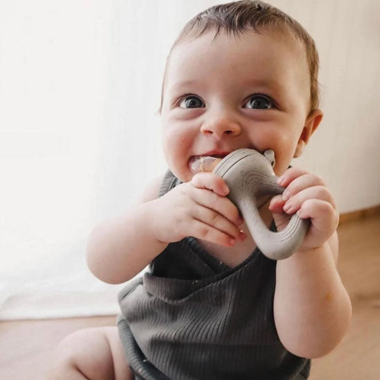 Grignoteuse bébé