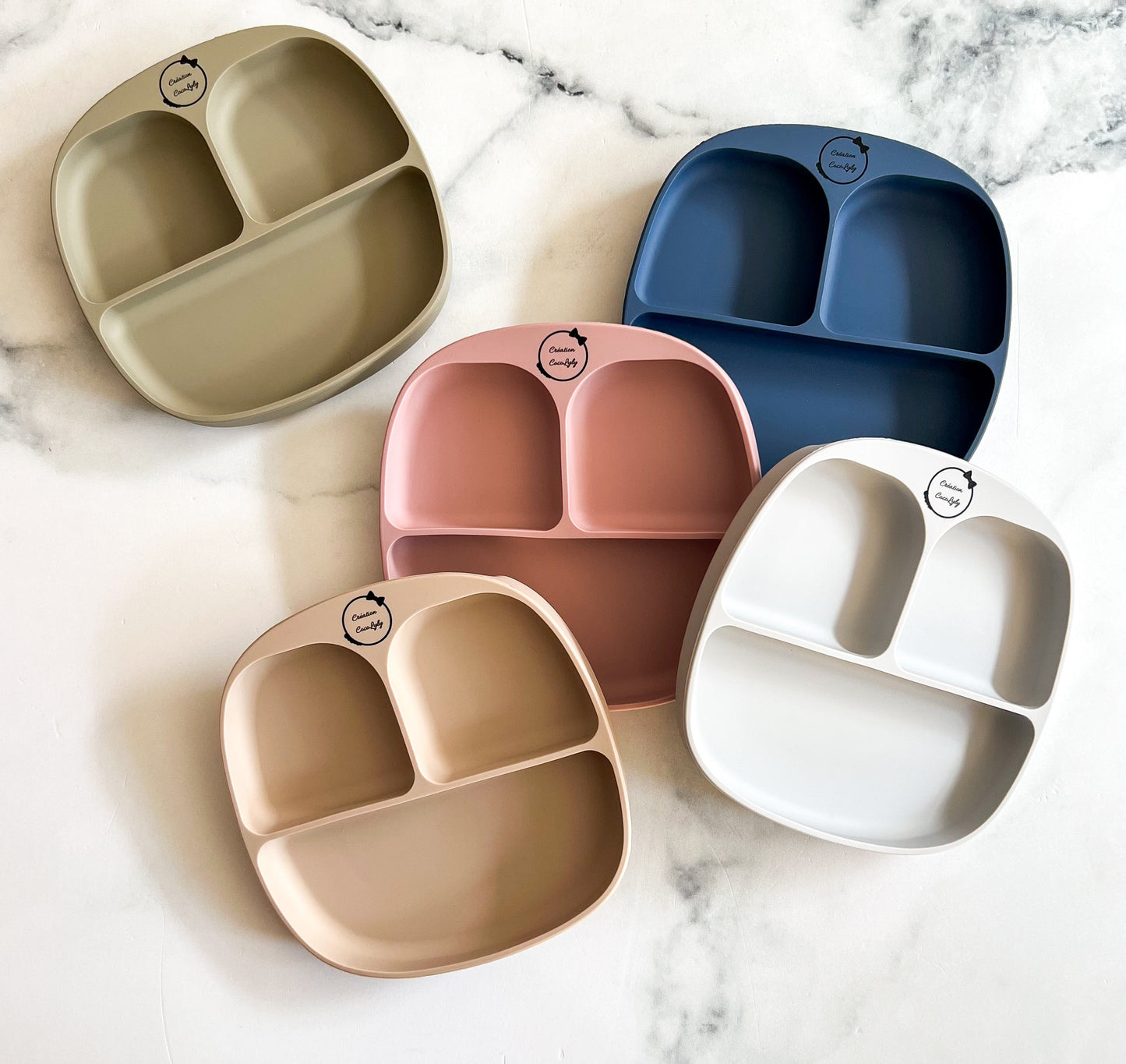 Compartmented suction plate (new size)