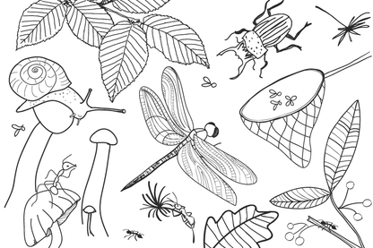 Cartes postales à colorier (unité)